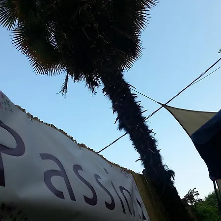 Passion 게스트하우스 로